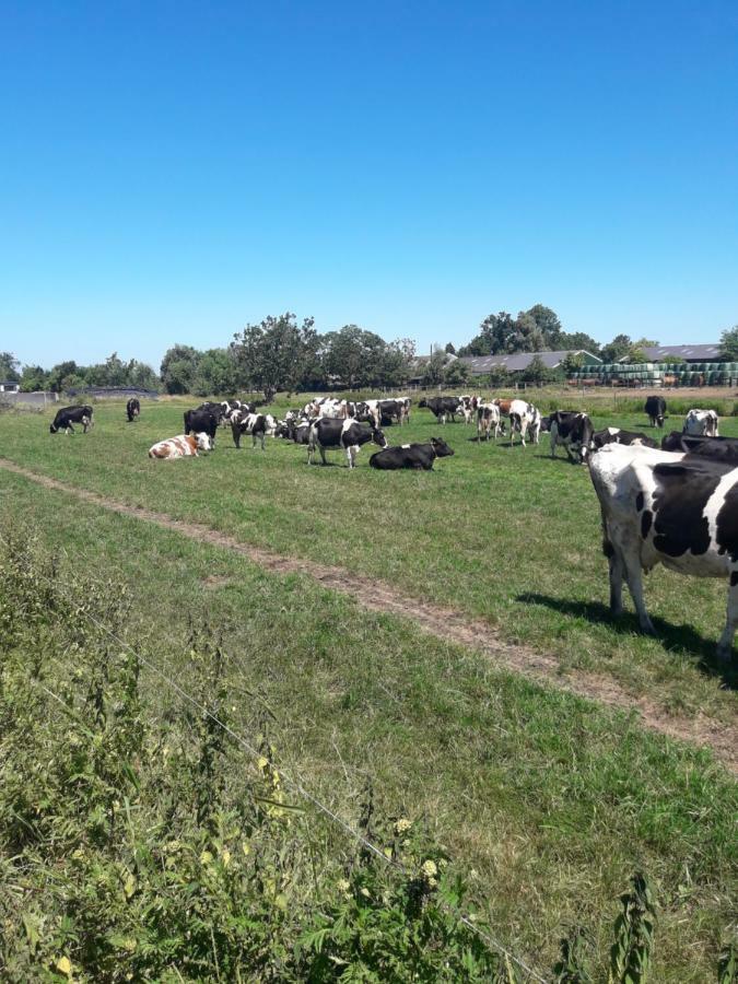 Lodderlogies Leilighet Oudewater Eksteriør bilde